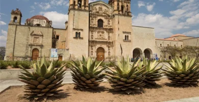 Shows de botargas en Oaxaca